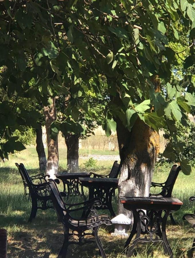 Chabiant Guesthouse Chateau Monolit Ikinci Yeniyol Exteriér fotografie