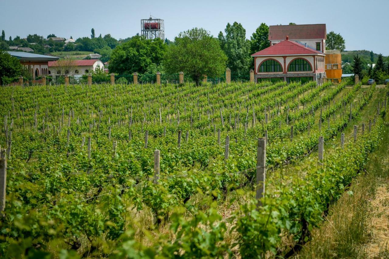 Chabiant Guesthouse Chateau Monolit Ikinci Yeniyol Exteriér fotografie